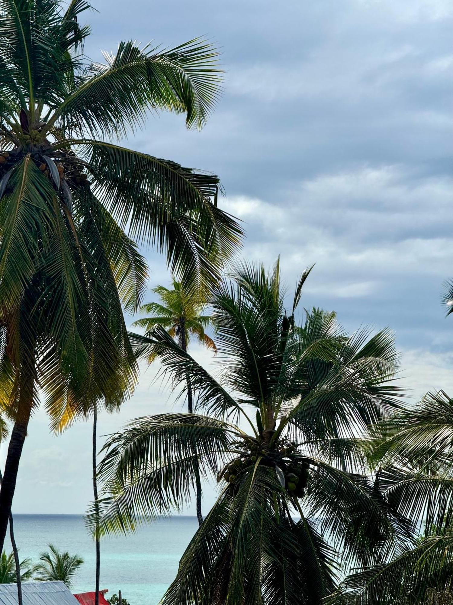 Rafiki Hotel Nungwi Beach المظهر الخارجي الصورة